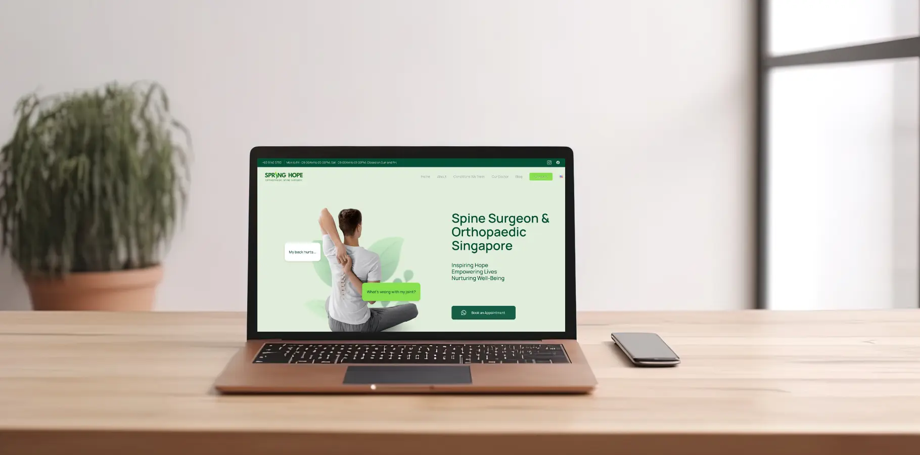 Spring-Hope SEO portfolio